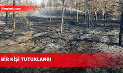Ergenekon-Tirmen Anayolu’nda yangın