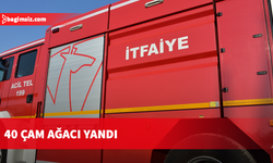 Muratağa-Sandallar Şehitliği yanında arazi yangını
