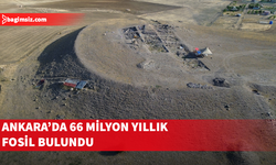 Ankara'da 66 milyon yıllık fosil bulundu