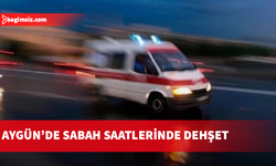 Aygün’de 61 yaşındaki kadın bıçaklanarak hayatını kaybetti