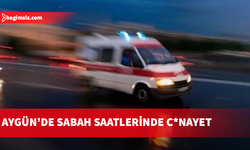 Aygün’de 61 yaşındaki kadın bıçaklanarak hayatını kaybetti