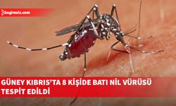 Güney Kıbrıs'ta Batı Nil virüsü vakalarında artış