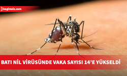 Güney Kıbrıs’ta Batı Nil Virüsü vakaları 14’e çıktı