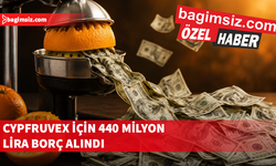 Narenciye üreticileri on milyonlarca liralık ürün bedellerinin ödenmediğinden şikayetçi