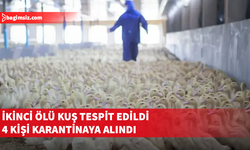 Güney Kıbrıs’ta kuş gribi alarmı: İkinci şüpheli vaka da ortaya çıktı