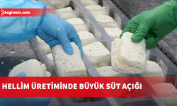 Yıllık süt açığı 144 milyon litre