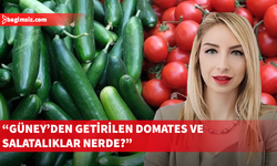 Gıda Mühendisleri Odası, kaçak domates ve salatalık konusunda açıklama yapılmasını istedi