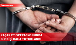 Haspolat’ta düzenlenen “Karkas Operasyonu”nda tutuklu sayısı ikiye yükseldi…