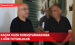 Güney Kıbrıs’tan getirildiği iddia edilen 233 kuzu için soruşturma sürüyor