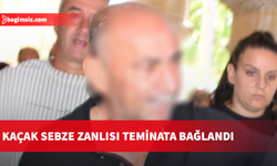 Rum plakalı araçla kaçak yollardan kaçak domates ve salatalık geçirdi: Zanlı teminata bağlandı