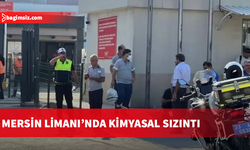 Mersin Limanı'nda konteynerin üzerine iş makinesi devrildi
