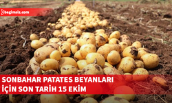 Sonbahar patates beyanları için son tarih 15 Ekim