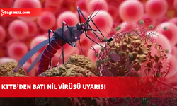 İnce: Batı Nil Virüsü’ne karşı mücadelede sivrisinek kontrolü esas