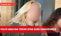 Polis aracına tekme atan zanlı teminata bağlandı