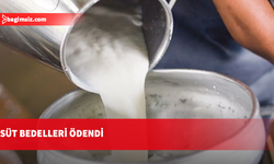 SÜTEK: 746 üreticiye toplam 217,5 milyon TL'lik çiğ süt ödemesi yapıldı