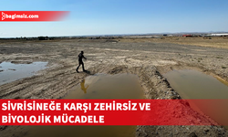 Serinsu: Mücadele uçkun sivrisineğe değil, kaynağa yapılıyor