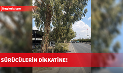 Polis, yarın sabah Demirhan mevkiinde budama çalışması yapılacağını duyurdu ve sürücüleri uyardı