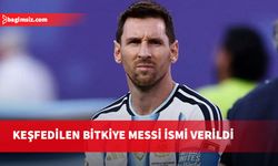 Peru'da keşfedilen yeni bir bitkiye Messi adı verildi