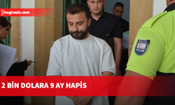 Müşteriden aldığı 2 bin Doları şirkete vermedi, 9 ay hapis cezasına çarptırıldı