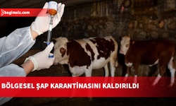 Şap hastalığı nedeniyle uygulanan bölgesel karantina kaldırılıyor