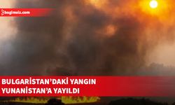 Bulgaristan'da başlayan orman yangını Yunanistan'a sıçradı