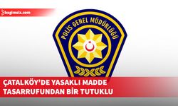 Çatalköy'de yasaklı madde tasarrufu suçundan bir kişi tutuklandı