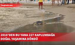 Meritta, 2026 sezonunu altı deniz kaplumbağasını daha denize uğurlayarak tamamladı