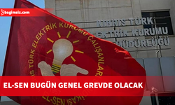 El-Sen bugün genel grevde olacak