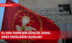 El-Sen yarın bir günlük genel grev yapacağını açıkladı