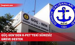 Güç-Sen, greve destek belirtti, hükümete çağrı yaptı