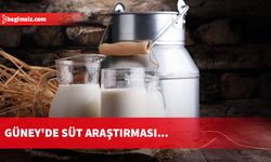 Güney'de süt araştırması: Küçükbaş hayvan üreticileri zarar ediyor, büyük peynir fabrikaları kâr marjını yükseltiyor