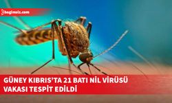 Güney Kıbrıs'ta son 7 günde 21 Batı Nil Virüsü vakası tespit edildi
