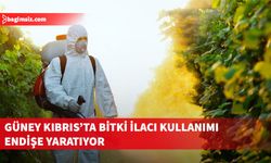Güney Kıbrıs’ta bitkisel ve hayvansal ürünlerde bulunan bitki ilacı miktarı endişe yaratıyor