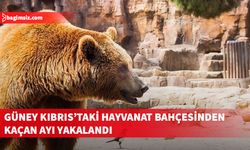 Melios Hayvanat Bahçesi’nden firar eden ayı bir saat sonra yakalandı
