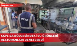 Kaplıca bölgesindeki su ürünleri restoranları denetim yapıldı
