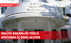 Maliye Bakanlığı 5 milyar TL, 7 milyon dolar ve 14 milyon sterlin borçlanma kararı aldı