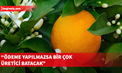 Narenciye Üreticileri Birliği Derneği hala ürün ödemelerinin yapılmadığına işaret etti