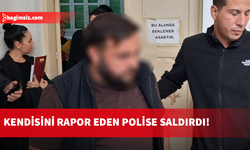 Trafik kontrolünde polise saldırarak, hakaret etti...