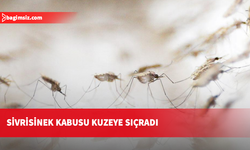 AB'de Batı Nil virüsü vakaları rekor seviyeye ulaştı