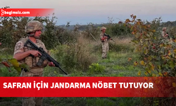 Türkiye’de Karabük’ün Safranbolu ilçesinde yetiştirilen safranın kilosu 900 bin lirayı buldu