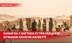 Sudan'ın Batı Darfur eyaletinde 3 haftada 55'ten fazla kişi sıtmadan yaşamını yitirdi