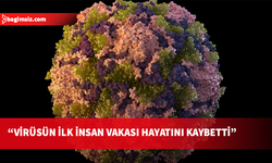DSÖ: Hayvanlarda görülen Shamonda virüsünün ilk insan vakası olan kişinin öldüğünü bildirdi