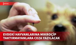 EV HAYVANLARINA DİJİTAL KİMLİK UYGULAMASINDA SÜRE DOLUYOR