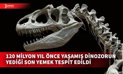 DİNOZORLARIN MEMELİ HAYVAN AVLADIKLARI TESPİT EDİLDİ