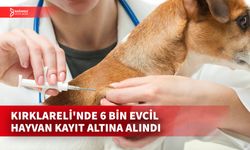 KIRKLARELİ’NDE EVCİL HAYVANLARA MİKROÇİP TAKMA İŞLEMLERİ DEVAM EDİYOR