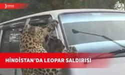 HİNDİSTAN'DA LEOPAR ÇEVREDEKİLERE SALDIRDI: 13 YARALI