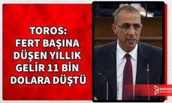 TOROS, TL KULLANIMININ YARATTIĞI SIKINTILARA DEĞİNDİ