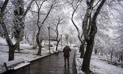 Soğuk hava Türkiye genelinde etkisini gösteriyor. Birçok bölgede kar yağışı etkili oluyor