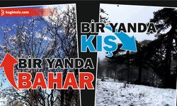 Trodos’ta kar yağışı etkili olurken, alçak kesimlerde bademler çiçek açtı