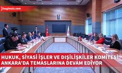 Hukuk, Siyasi İşler ve Dışilişkiler Komitesi, TBMM İhtisas Komisyonları ile Görüştü